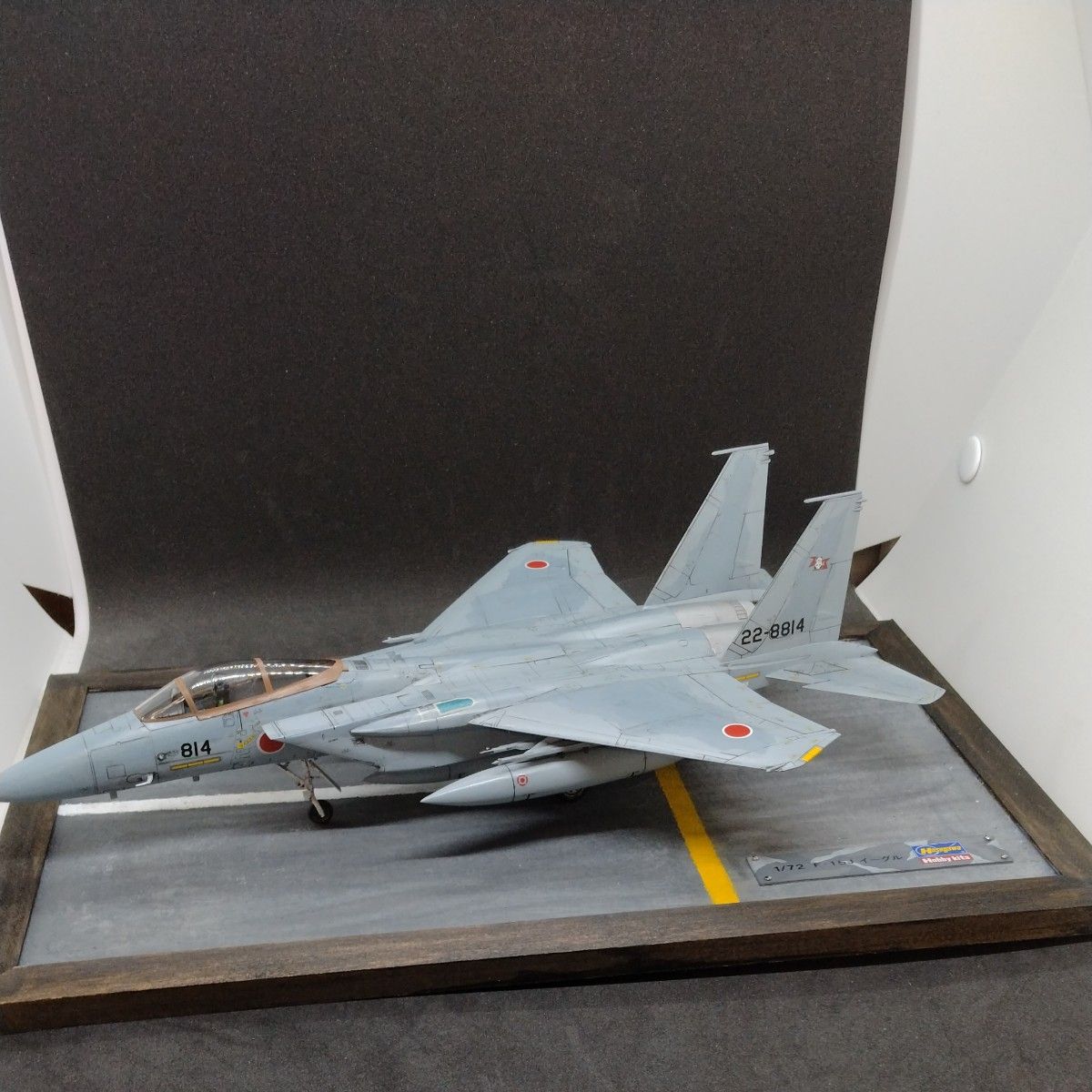 希少品】J-10C 戦闘機 中国人民解放軍 空軍 1/48 精密モデル（全長35cm