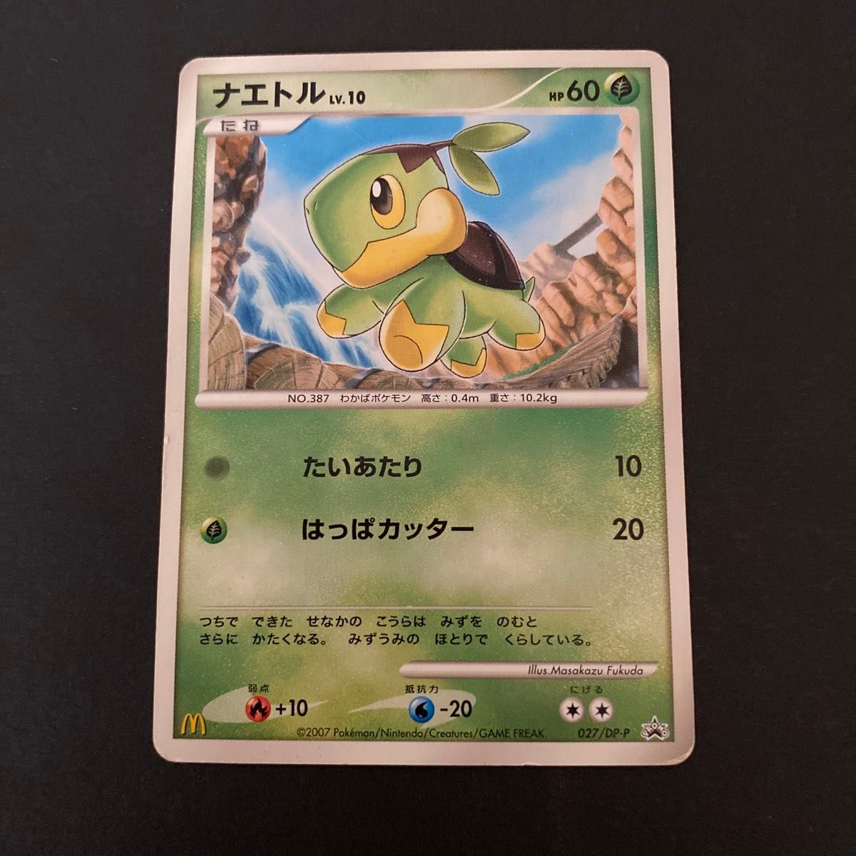 ポケモンカード ナエトル LV.7 プロモ 117/DP-P コレクション