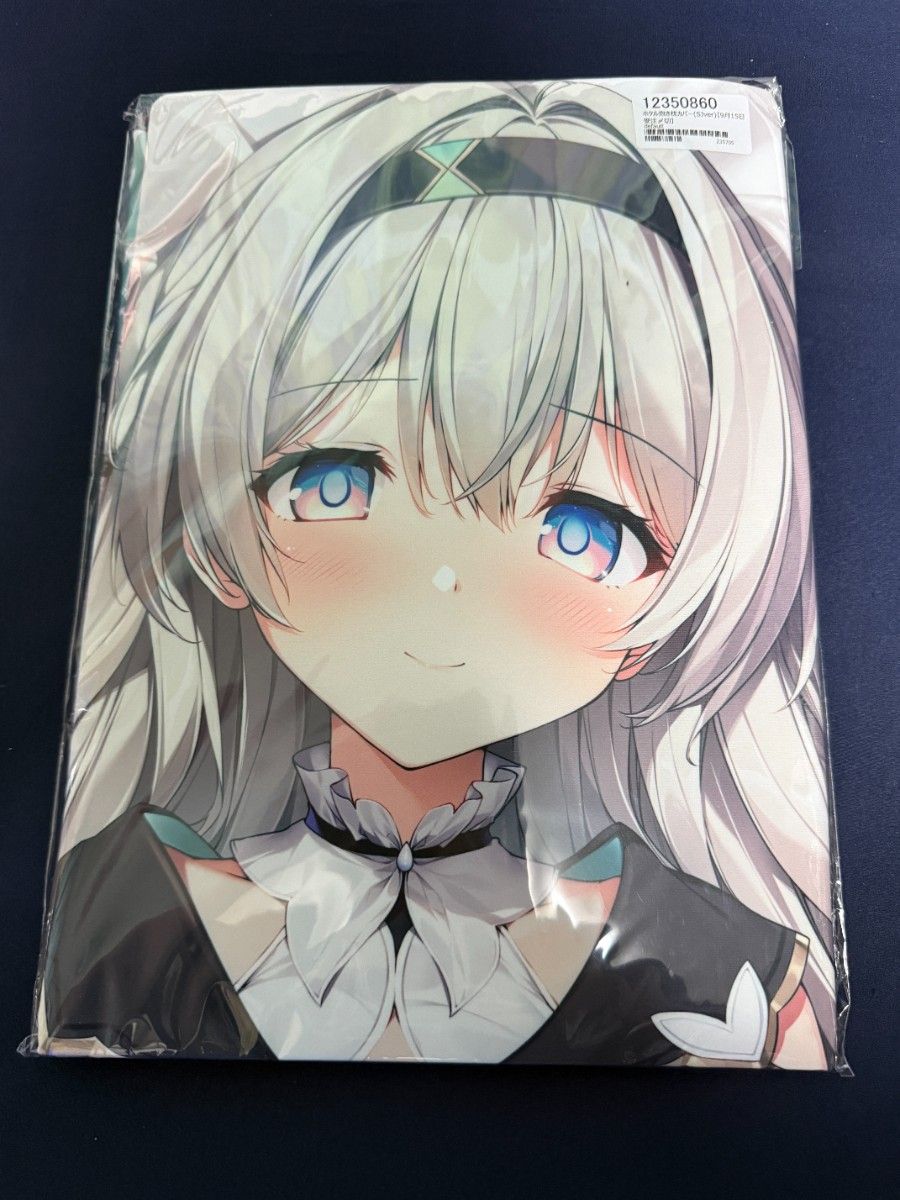 こみトレ47 CT47 KAROMIX karory 新作 あまねちゃんキャンバスアート