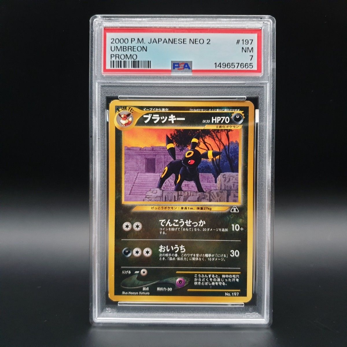 【旧裏550枚以上】旧裏まとめ売り⑤ ポケモンカード 旧裏 16種(27枚) ポケカ | Shop at JDirectItems