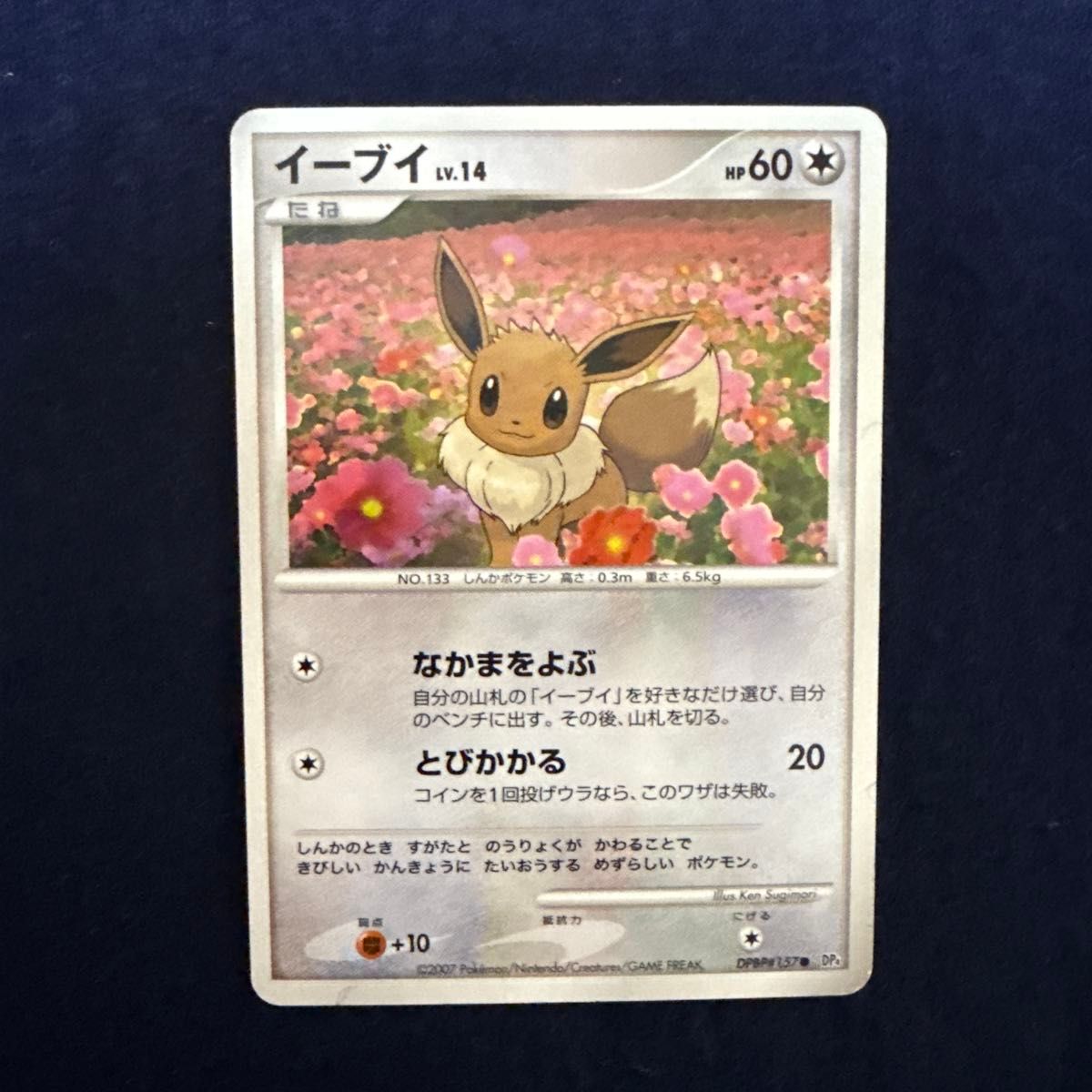 絶版】ポケモンカードゲームDP 拡張パック 夜明けの疾走 未開封パック