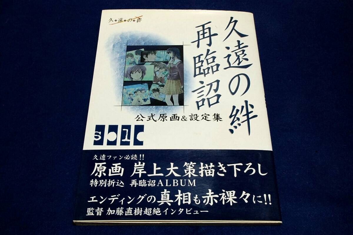 岸上大策