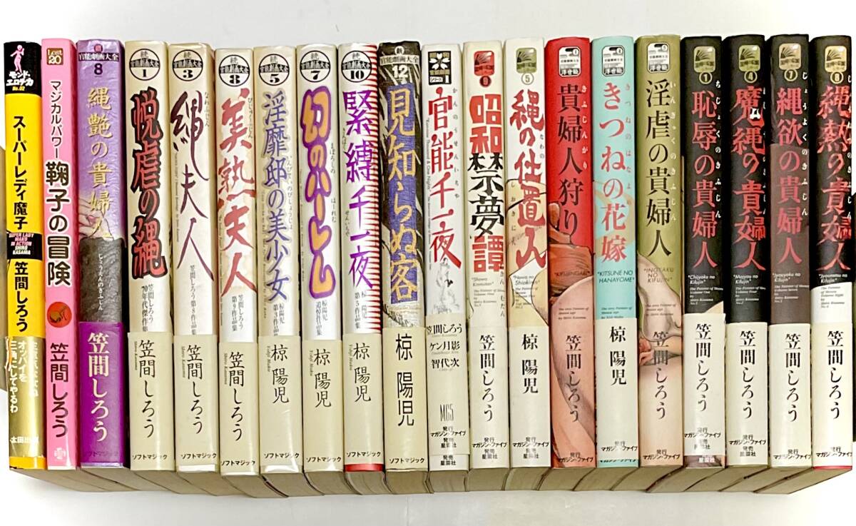 椋陽児