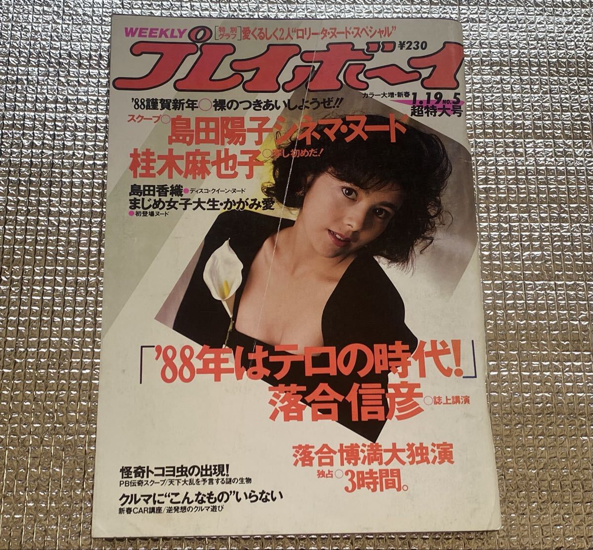 島田陽子