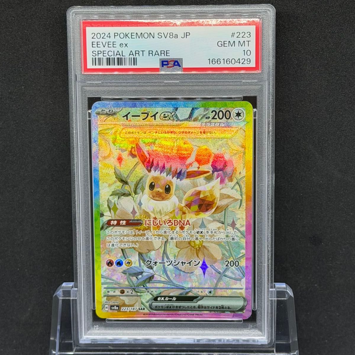 イーブイex SAR PSA10 ポケモンカード SV8a テラスタルフェスex ポケカ