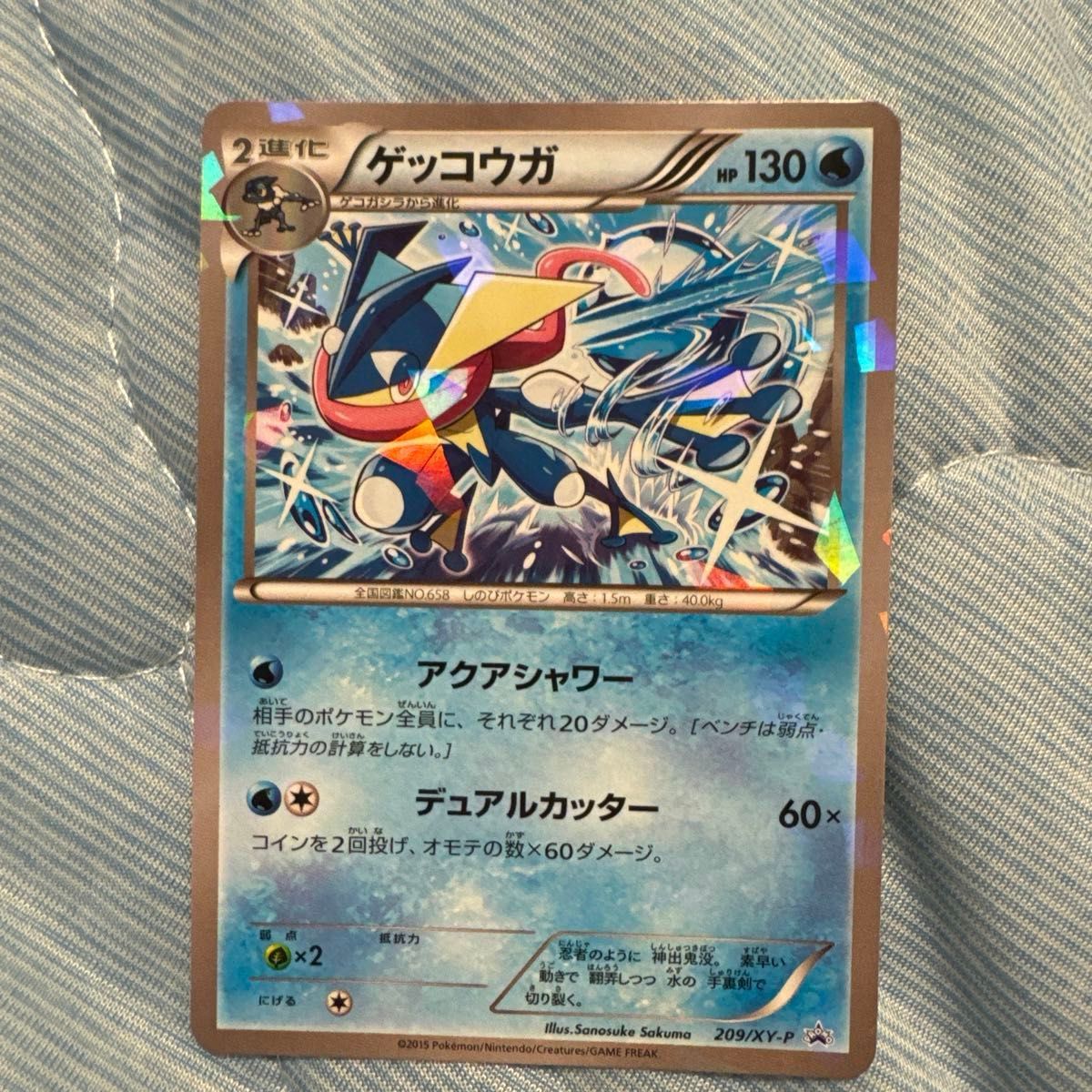 ゲッコウガ 209/XY-P プロモ 未開封 | Shop at JDirectItems