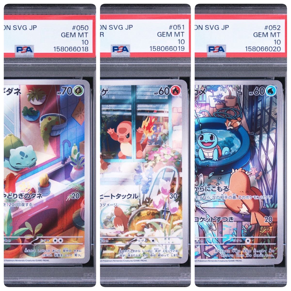 ポケモンカードゲーム ゼニガメ AR スペシャルデッキセットex | Shop