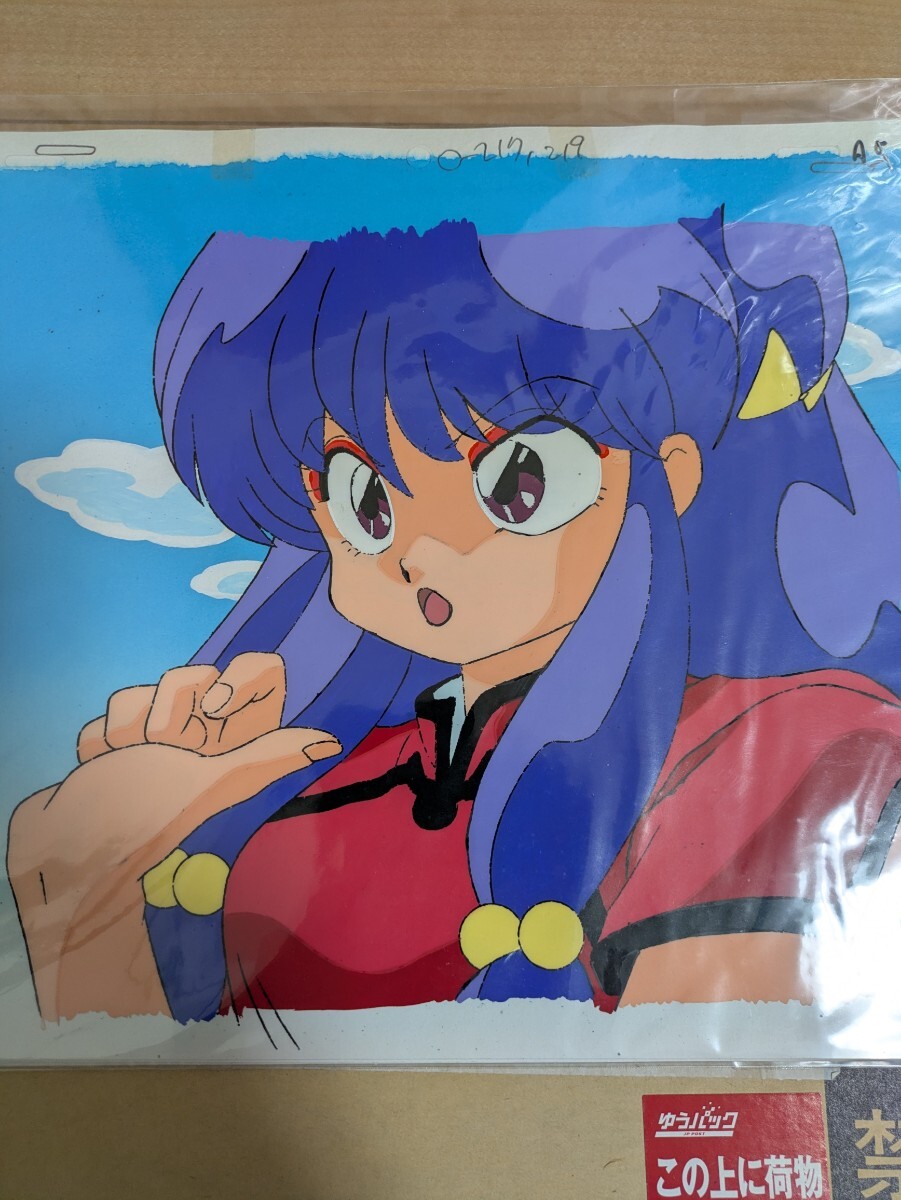 らんま1/2