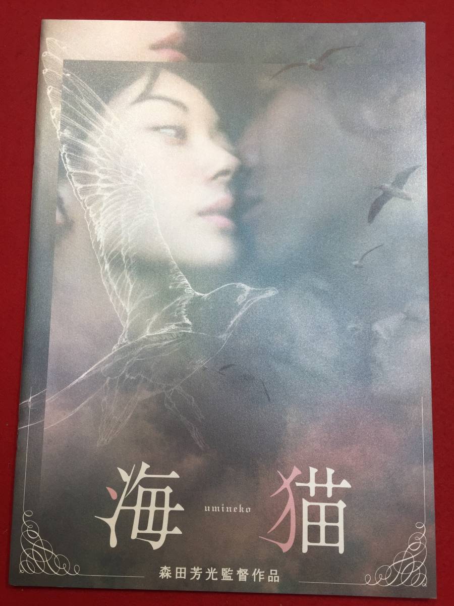 伊東美咲 直筆サイン色紙 映画 海猫 Kết quả tìm kiếm cho