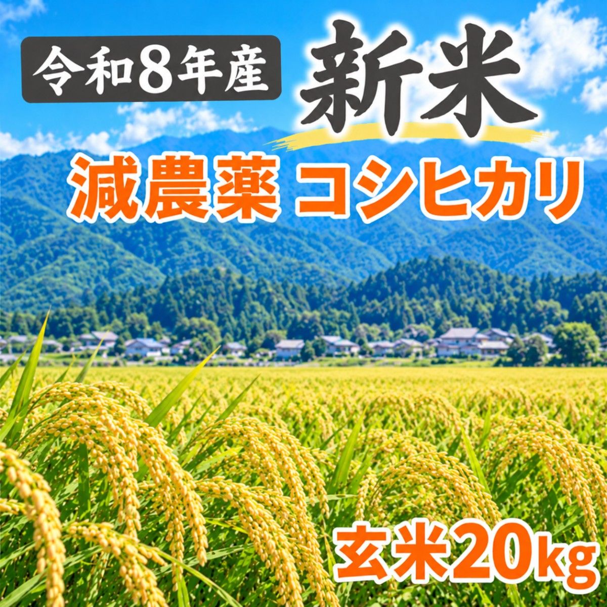 令和7年産 近江米 コシヒカリ 玄米20kg(精米費無料) | Shop at