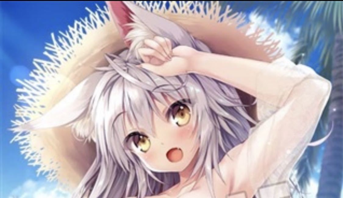 COMIC1☆14 Marvelous Grace タペストリー 立羽 恋剣乙女 D.C.III Dream Days COMIC1☆14 Marvelous Grace しおりちゃん タペストリー 立羽 コミ1