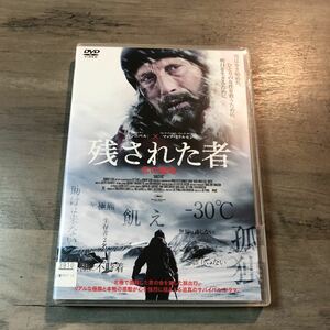 DVD 残された者 / 北の極地 レンタル使用品 ケース新品交換済 マッツ・ミケルセン