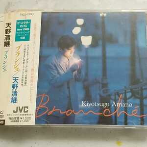 CD★天野清継(ギター)★1992年 ミニ・アルバム『 Branch / ブランシェ 』ストリングス・アルバム/ パリ録音