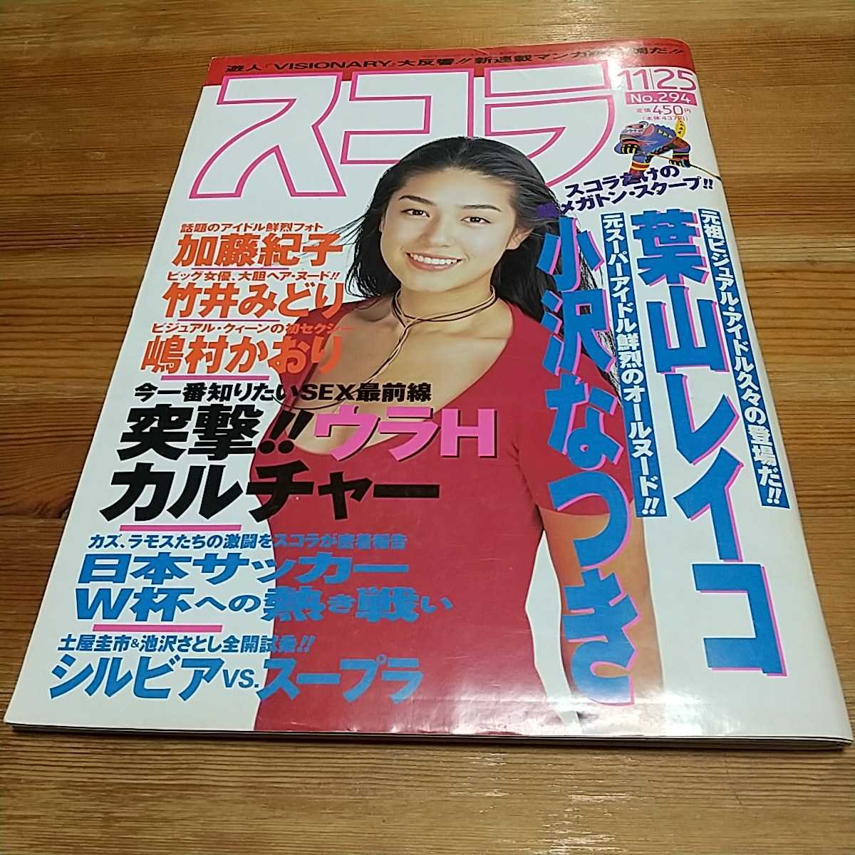 かとう様 竹井みどり イメージビデオ 漂流者 VHS