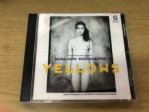 絶版! 希少! CD MAC版　日本人女性 女体写真集 アート 絵画 参考資料 写真集 ・/