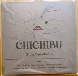 未開封新品 Shin Sasakubo Chichibu Sam Gendel 再発アナログ盤 レコード LP 笹久保伸 秩父