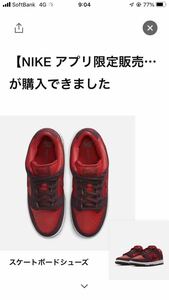 Nike SB Dunk Low Cherry 28センチ