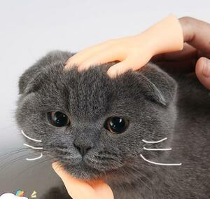猫 おもちゃ ミニチュア 手 指おもちゃ ねこじゃらし 手模型 猫用マッサージ