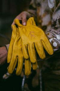 ULTRA ROMANCE ウルトラロマンス グローブ LaRons Branded Buckskin Gloves Sサイズ 未使用 SWIFT INDUSTRIES 自転車 キャンプ