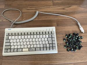 ALPS緑軸 キーボード+ALPS緑軸38個+キーキャップ / ALPS SKCL GREEN PS/2 keyboard + 38 units of key switches + keycaps