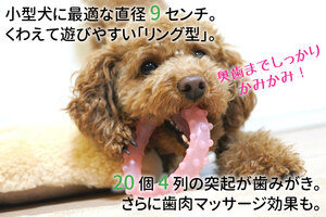 【DQ-SHK】デンタルトイ 小型犬用 はみがき おもちゃ オモチャ 玩具 シリコン 歯周病予防 5色 5個 まとめ売り