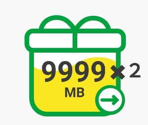 mineo マイネオ パケットギフト 約20GB（9999MB×2） 送料無料