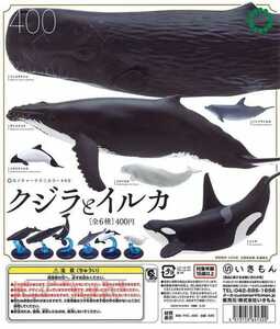 送料210円〜 全6種セット ネイチャーテクニカラー 400　クジラとイルカ いきもん
