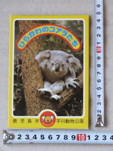 昭和レトロ 平川動物公園 ひらかわのコアラたち 写真 カード 鹿児島市