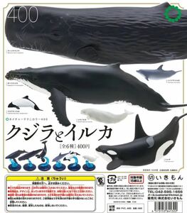 ネイチャーテクニカラー400 クジラとイルカ 全6種 ザトウクジラ マッコウクジラ シャチ ハンドウイルカ シロイルカ フィギュア ガチャ 