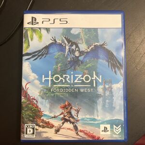 PS5ホライゾン　Horizon2 Forbidden West
