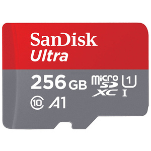 新品未使用 microSDカード 256GB サンディスク microSDXCカード sandisk マイクロSDカード ニンテンドースイッチ class10 120mb/s 