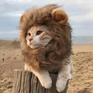 ライオンの猫の毛が入ったかわいい帽子,偽の猫と犬のデザインが施されたヘアアクセサリー,ぬいぐるみの変装,ペット用品279