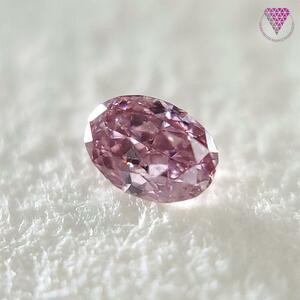 0.042 ct Fancy Intense Pink SI2 天然 ピンク ダイヤモンド オーバル シェイプ ルース DIAMOND EXCHANGE FEDERATION