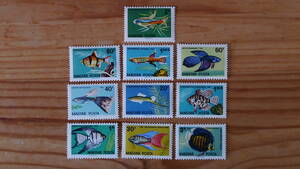 ハンガリー　1962年　熱帯魚　10種　未使用切手