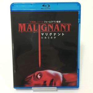 【即決】 マリグナント 狂暴な悪夢 ブルーレイ & DVD セット (Blu-ray Disc) 死霊館 ジェームズ・ワン