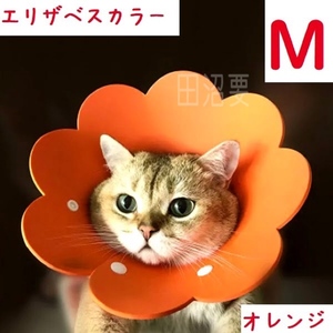 送料無料 Mサイズ エリザベスカラー オレンジ 花 ペット 猫 No.844 C