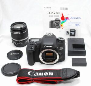 【超美品・SDカード付き】Canon キヤノン EOS 8000D EF-S 18-55mm IS
