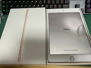 iPad mini 第5世代 Cellular ゴールド 64GB Apple Store購入 Wi-Fi GOLD simフリー