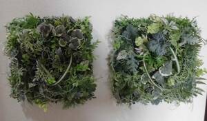 インテリア　ウォールグリーン　2枚セット　アーティフィシャルフラワー・壁掛け・壁飾り・フェイクグリーン・ 観葉植物