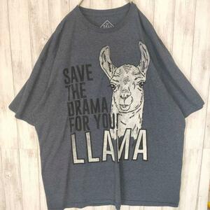 ラマ　Tシャツ 2XL グレー　アメリカ　古着　ゆるだぼ　アニマル　動物　ビッグロゴ
