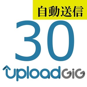 【自動送信】UploadGiG プレミアム 30日間 通常1分程で自動送信します