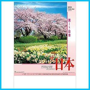 新日本カレンダー 2022年 カレンダー 壁掛け ザ 日本 NK138