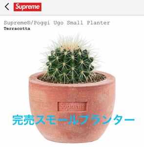 新品 Supreme / Poggi Ugo Small Planter 鉢 スモール シュプリーム プランター