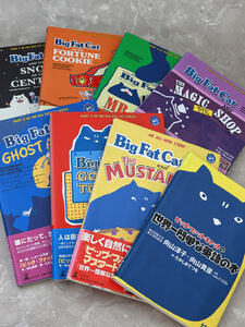ビッグファットキャット 全巻セット8冊 /Big Fat Cat 世界一簡単な英語の本/ 英語　教科書　文法　多読　児童書　リーディング
