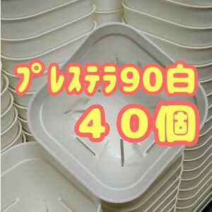 ◆送料無料◆【スリット鉢】プレステラ90白40個 多肉植物 プラ鉢