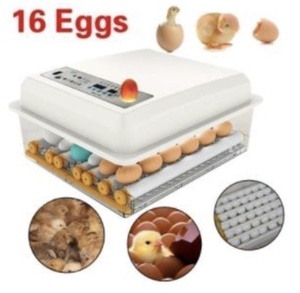 ◇自動孵卵器 インキュベーター 鳥類専用ふ卵器 自動転卵式 孵化器 ヒヨコ生まれ 大容量 自動温度制御 子供教育用