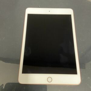 Apple iPad mini DEMO機 7.9インチ 第5世代 Wi-Fi 64GB 3F559J/A [展示品]