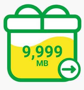マイネオmineo パケットギフト 10GB(9999MB)