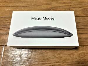 Apple Magic Mouse 2 SPACE GRAY アップル マジック マウス2 スペースグレイ
