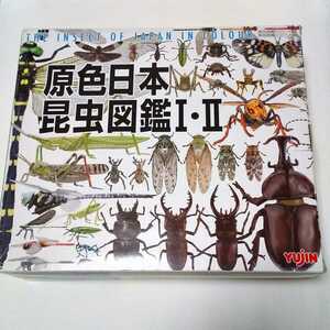 原色日本昆虫図鑑Ⅰ・II フィギュア コレクションボックス 